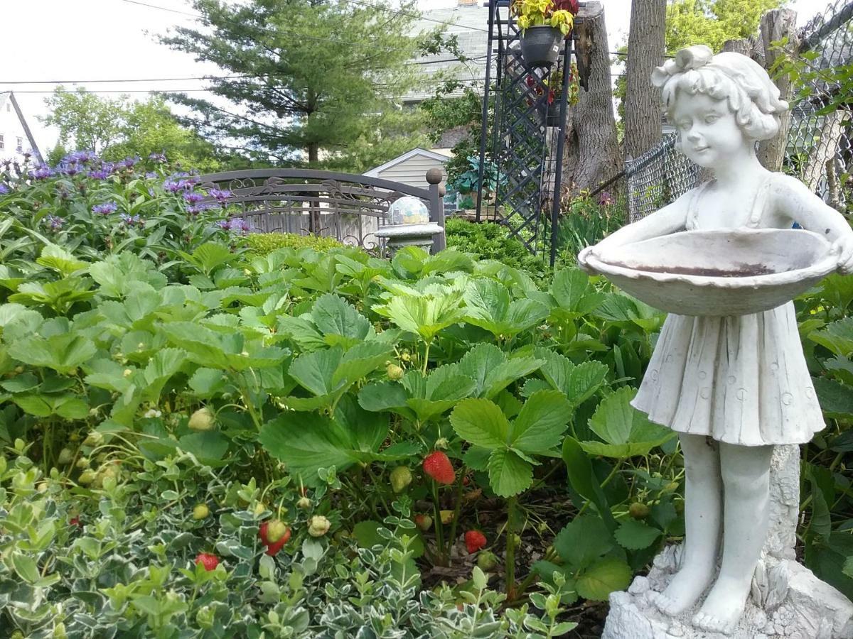 Hanover House Bed And Breakfast ナイアガラフォールズ エクステリア 写真